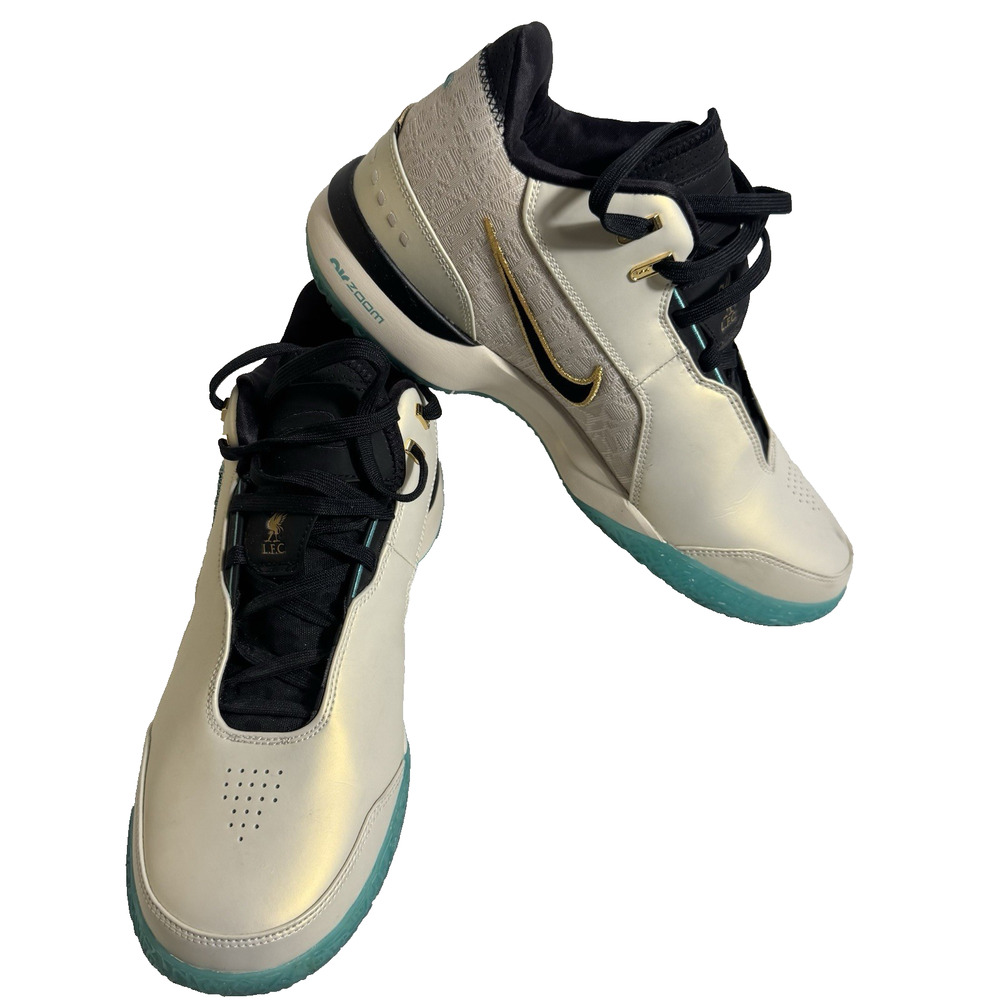 Nike Zoom LeBron NXXT Gen AMPD Men's Size 11.5